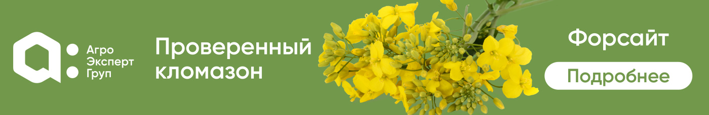 Форсайт
