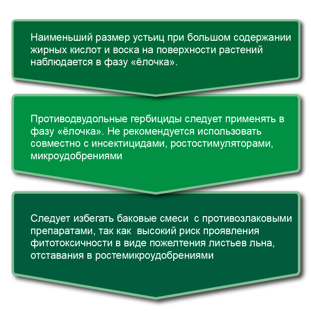 Статья лен форматирование_2_html_ff068dd9.png