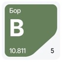 bor.jpg bor.jpg